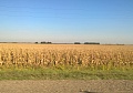 Осень на Кубани